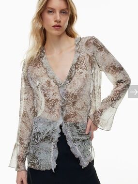 Aritzia Wilfred Semi-Sheer Ruffle V-Neck Blouse - Brown & Gray
